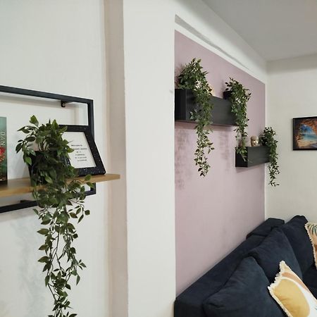 Apartment Jazbina Pula Exteriör bild